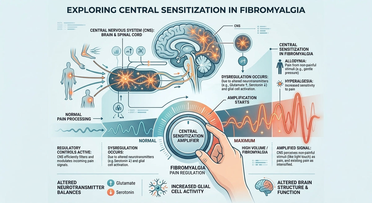 Central Sensitization: Why the Pain Volume Is Turned Up