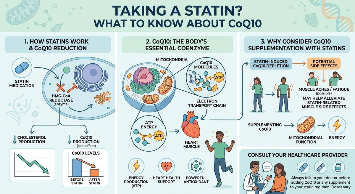 Taking a Statin? What to Know About CoQ10