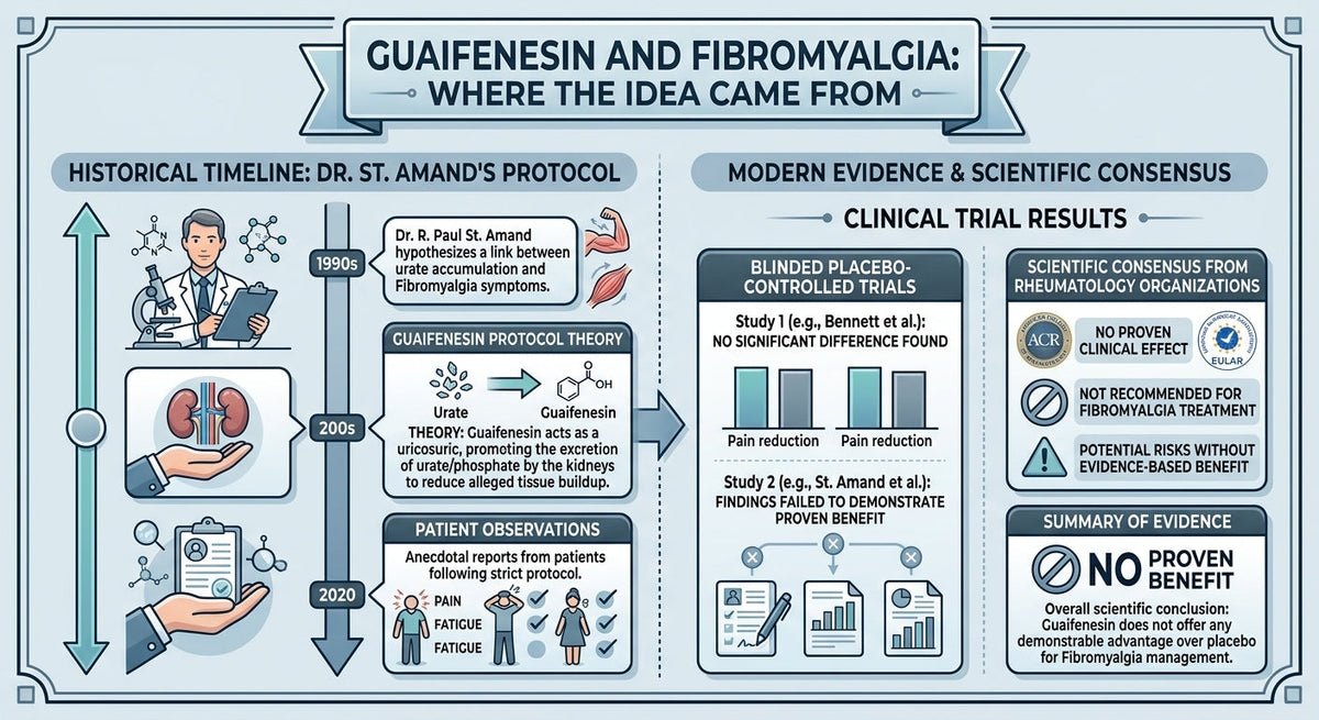 Guaifenesin and Fibromyalgia: Where the Idea Came From